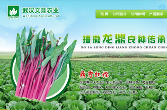 農(nóng)業(yè)生物科技網(wǎng)站建設(shè)
